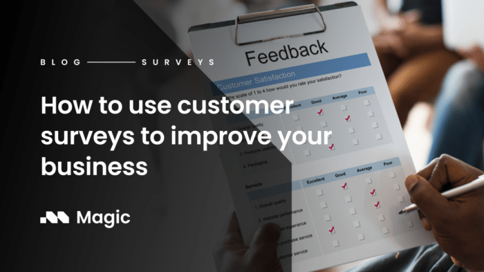 Using Surveys for Customer Insights