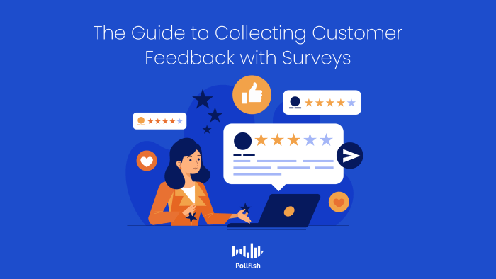 Using Surveys for Customer Insights