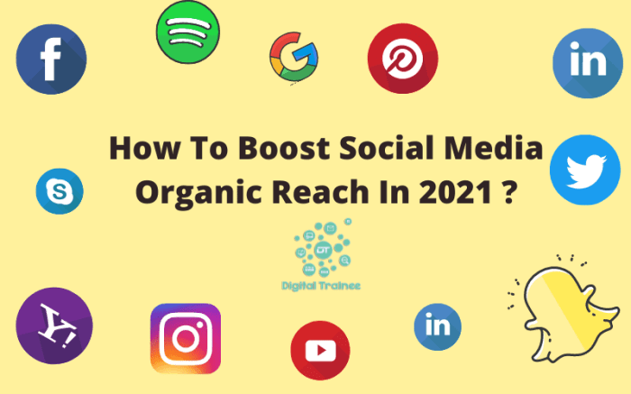 Increasing Organic Reach on Social Media